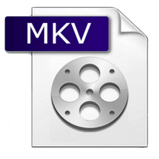 best mkv player windows xp